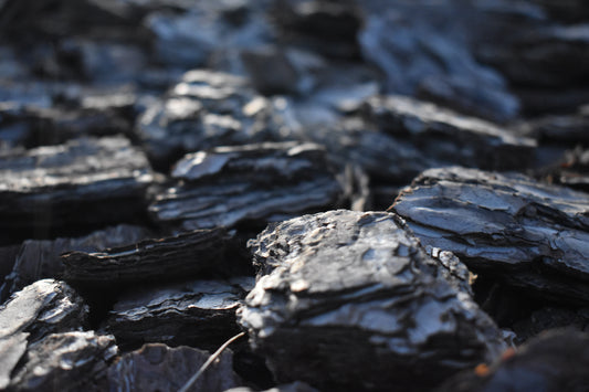 Borova kora (crna) - 50l